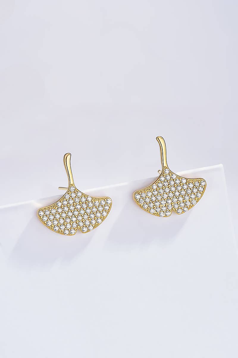 Stainless steel earrings 124RX206