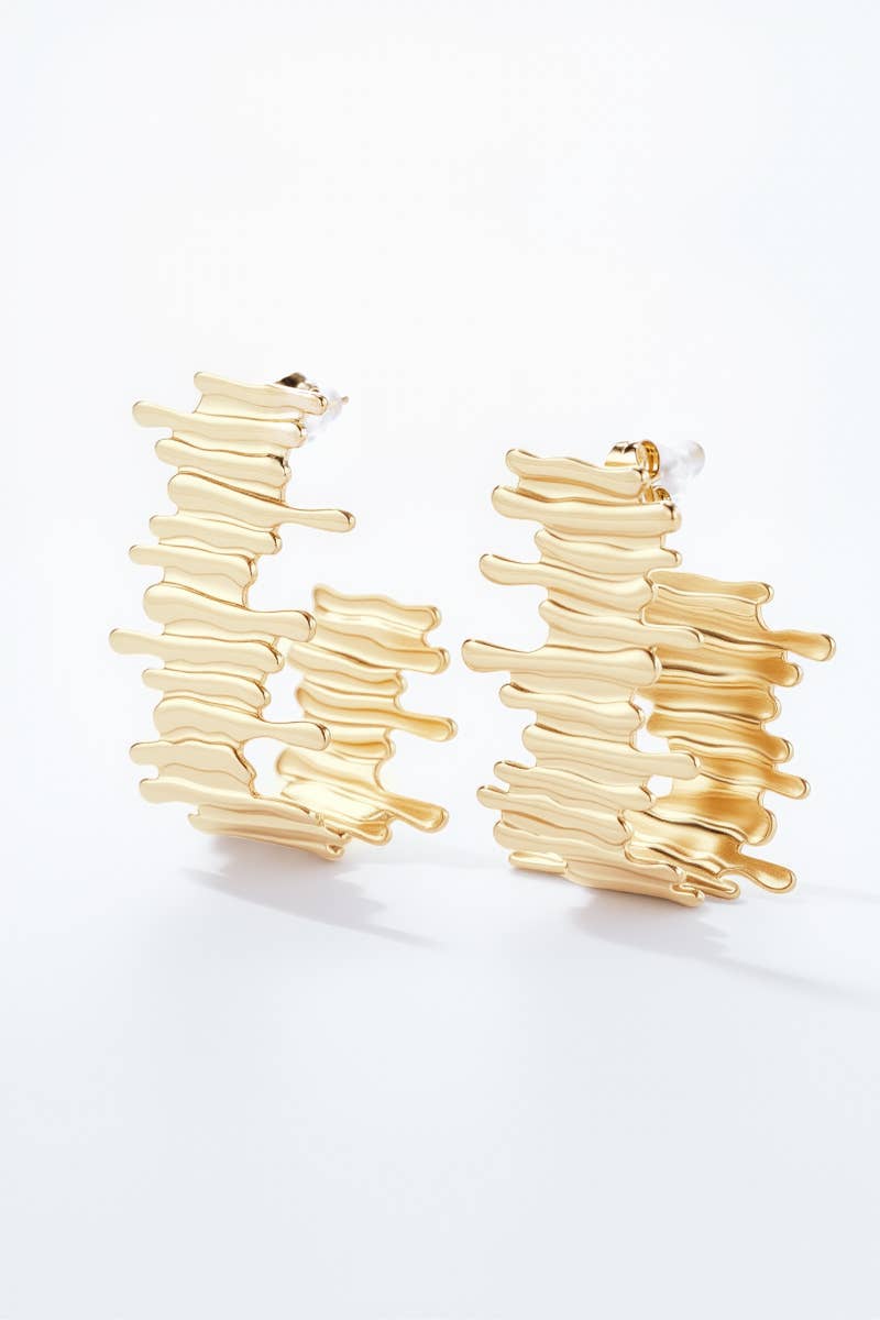 124RX121 stainless steel earrings