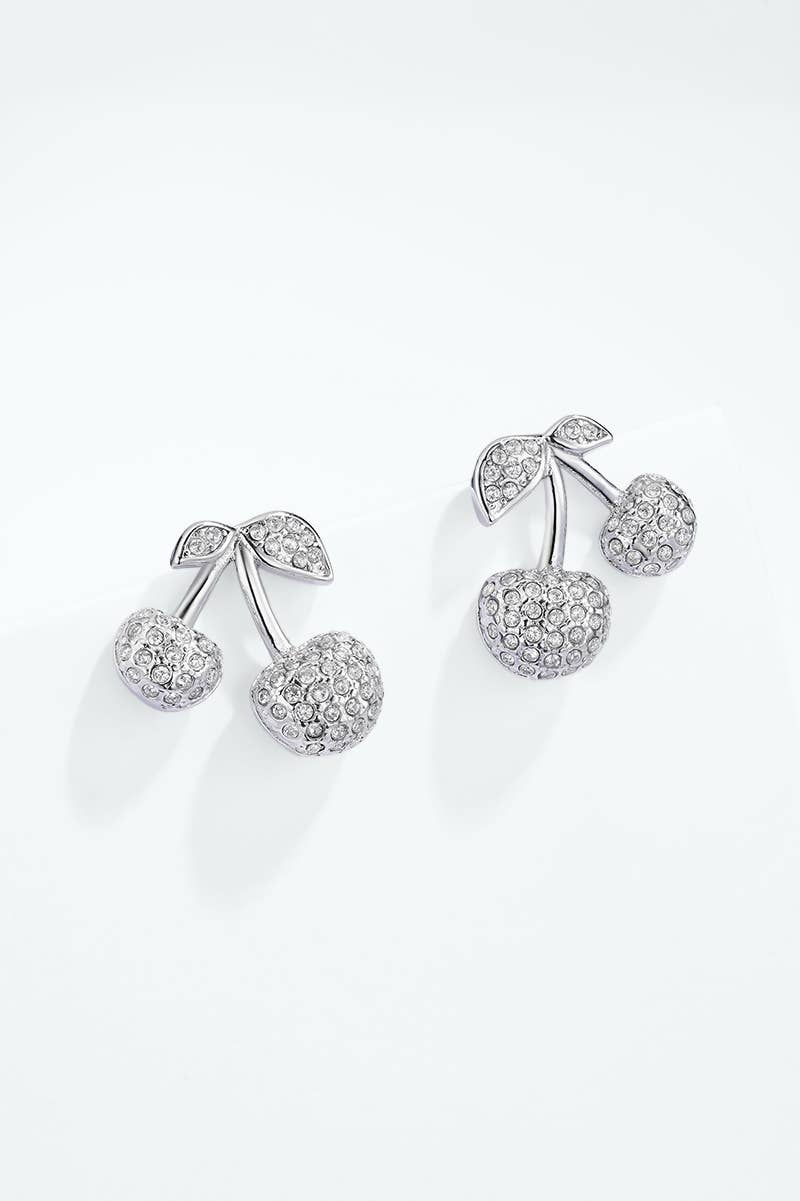 Stainless steel earrings 124AQ692