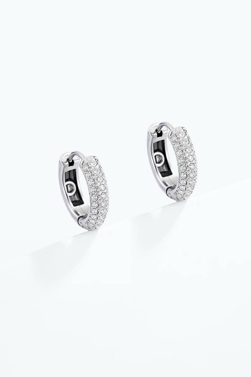 124AQ791 stainless steel earrings