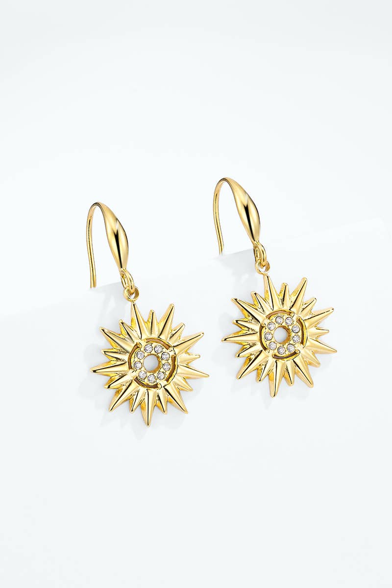 Boucles d'oreilles en acier inoxydable 124AQ702