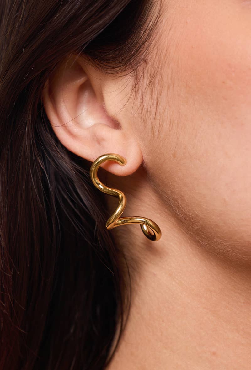 124AQ367 stainless steel earrings