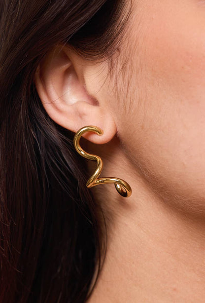 124AQ367 stainless steel earrings
