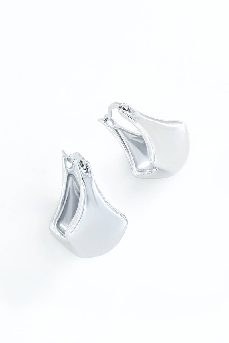 124AQ280 stainless steel earrings