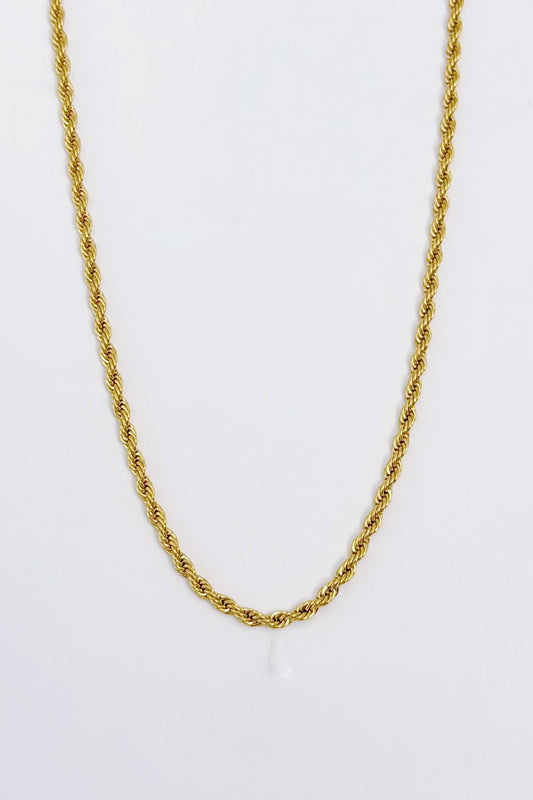 Colliers en acier inoxydable 224CA16