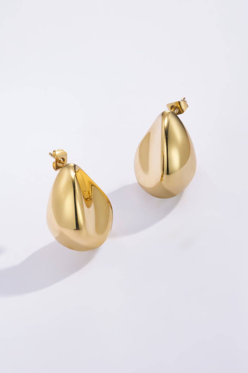 124AQ16 stainless steel drop earrings