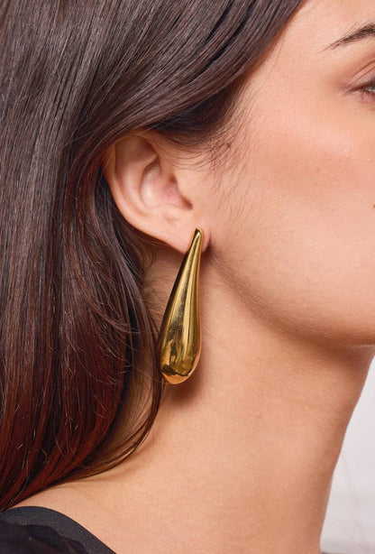 Stainless steel earrings 124RX114