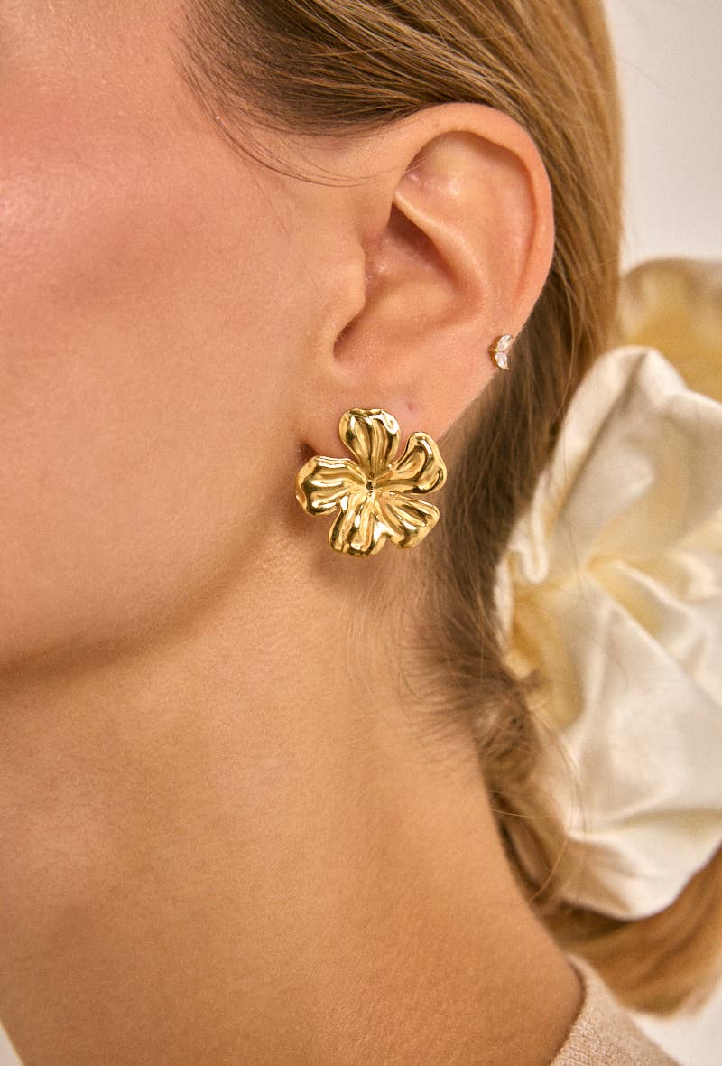 Stainless steel earrings 124AQ510