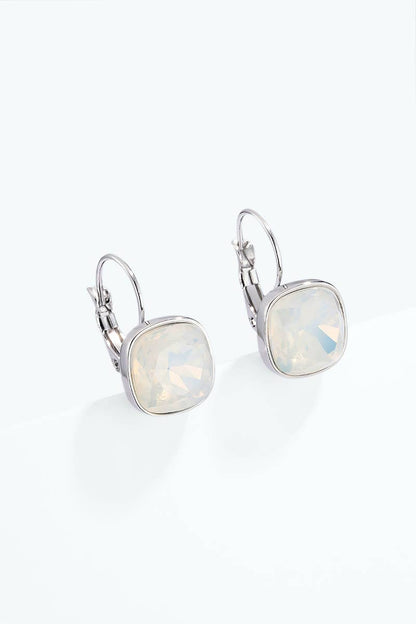 Stainless steel earrings 124AQ718