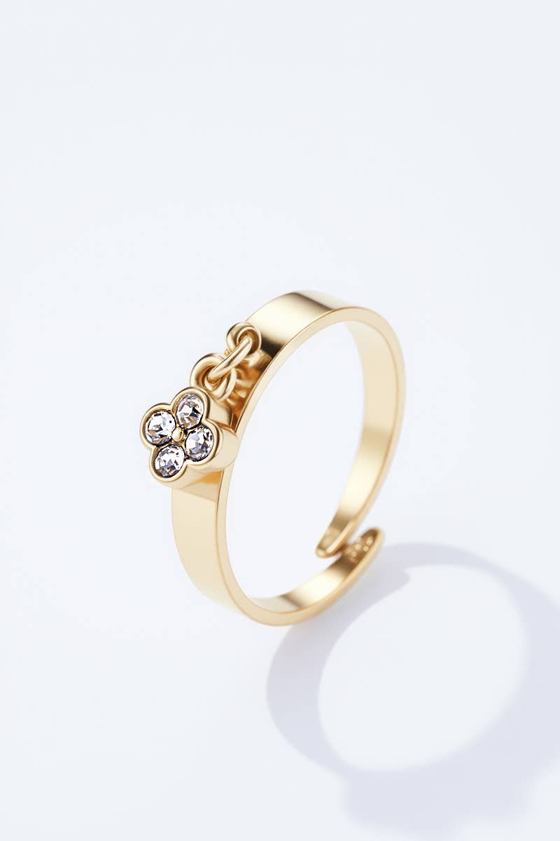 Bague en acier inoxydable 424RX181