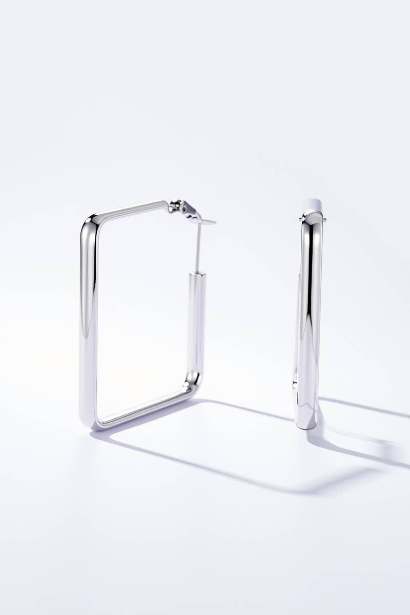 Stainless steel earrings 124AQ581