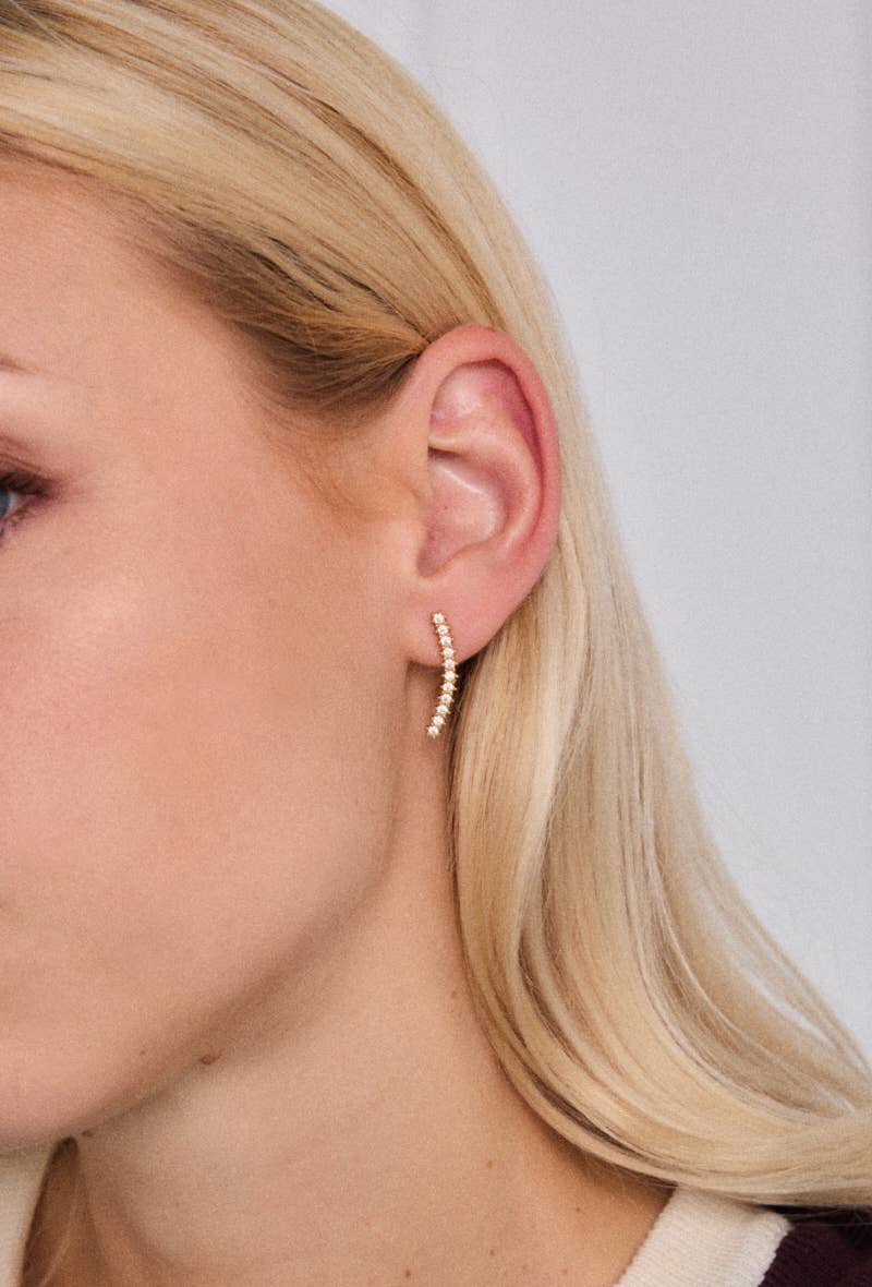 Stainless steel earrings 124RX209
