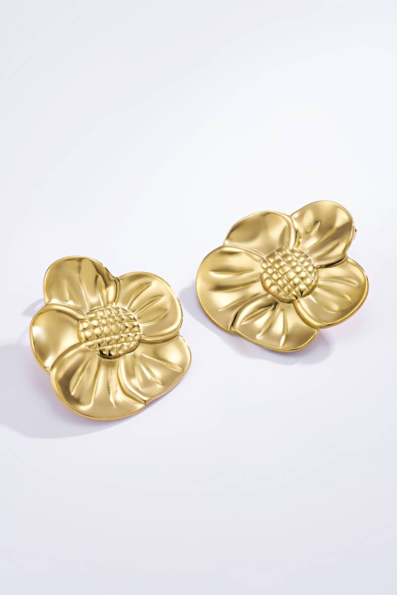 Boucles d'oreilles en acier inoxydable 124YC22