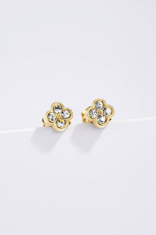 Boucles d'oreille en acier inoxydable 124RX152