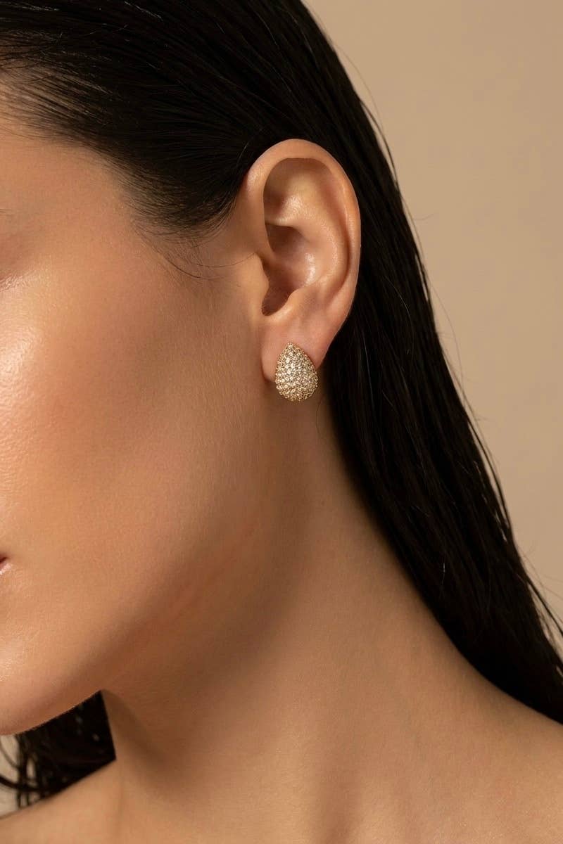 Stainless steel earrings 124AQ679