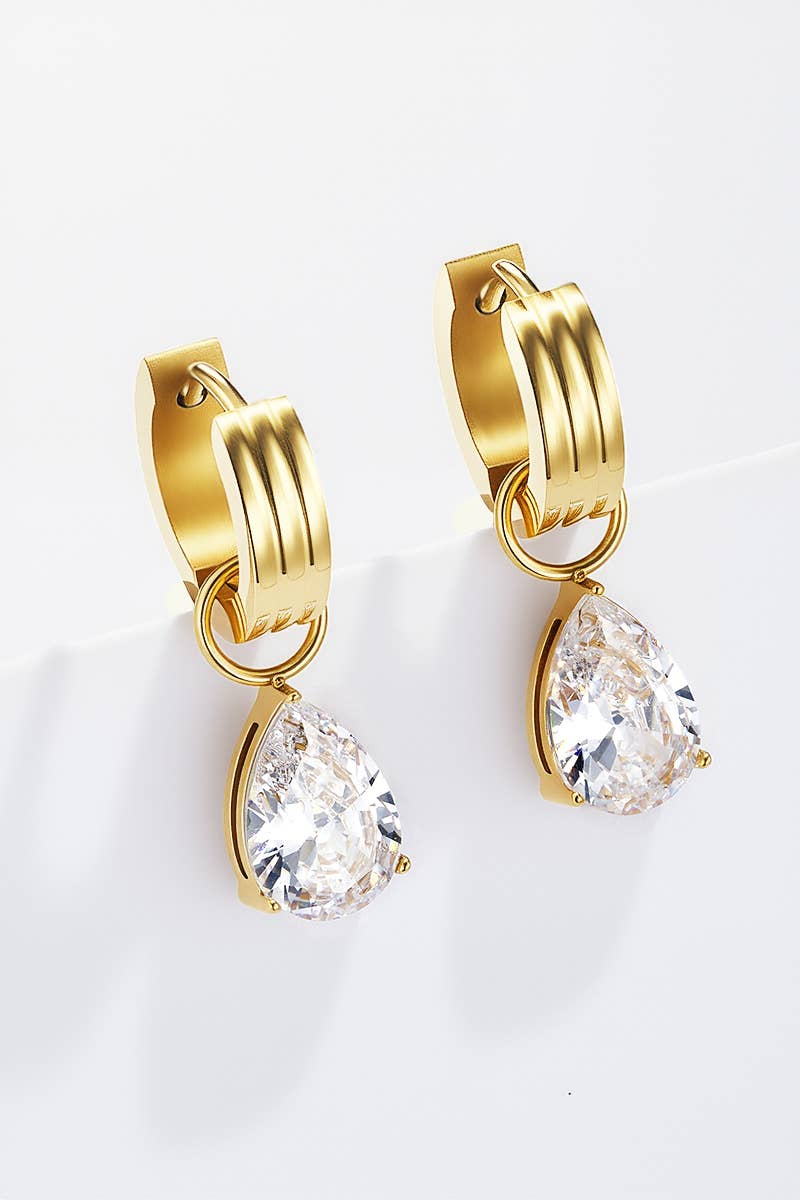 Stainless steel earrings 124CA45