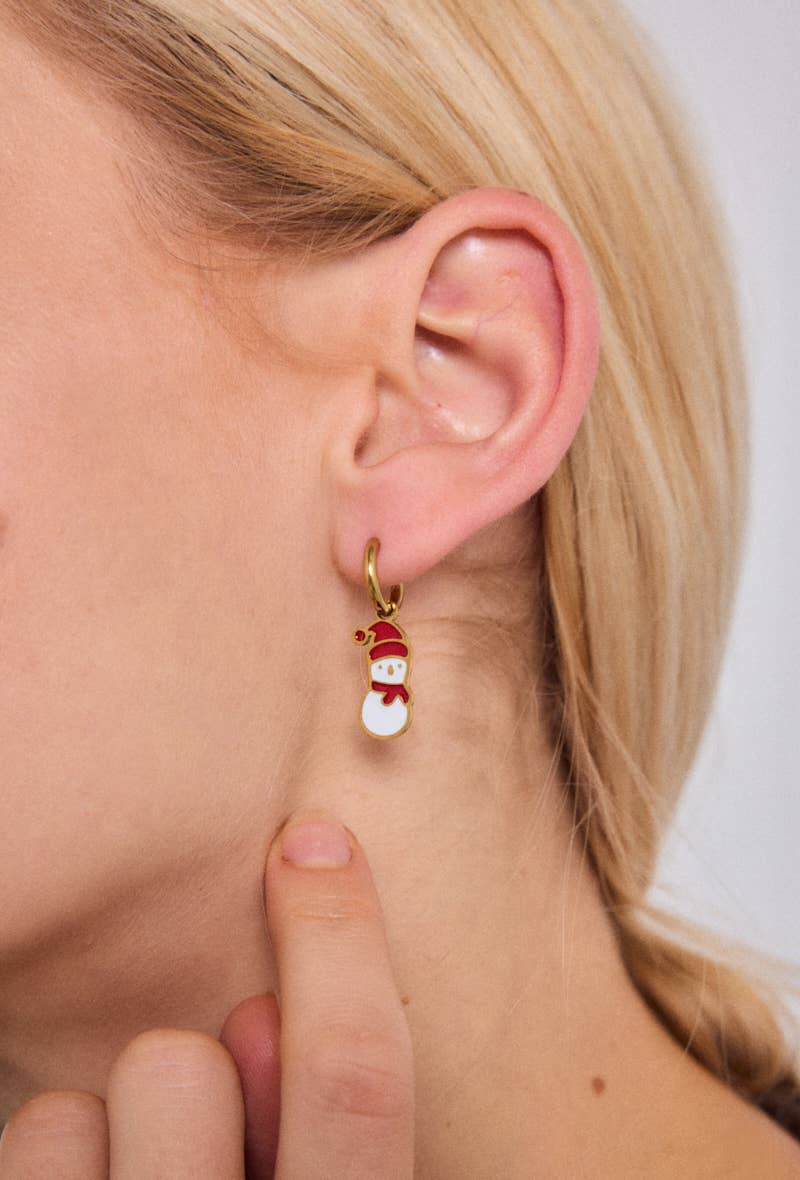 124RX223 stainless steel earrings