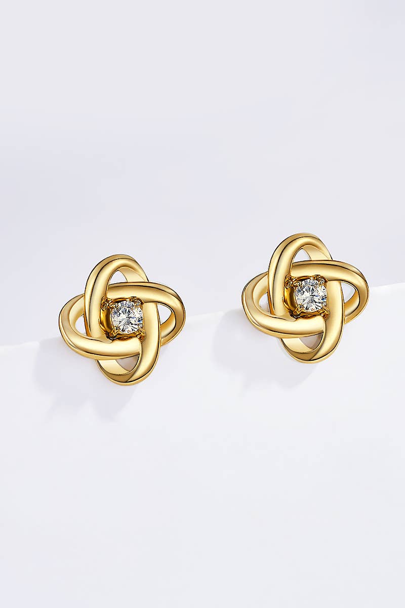 Stainless steel earrings 124RX203