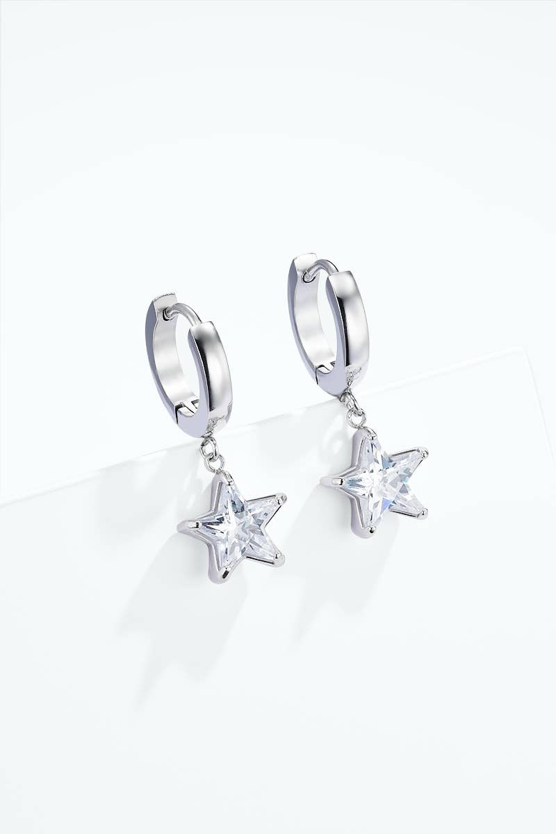 Stainless steel earrings 124AQ667