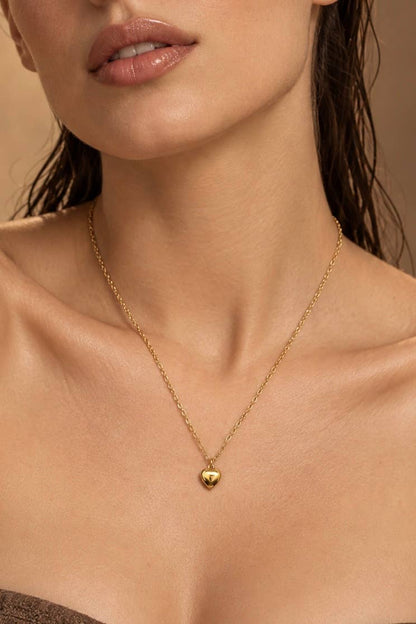 Collier pendentif cœur bombé en acier inoxydable 224AQ390