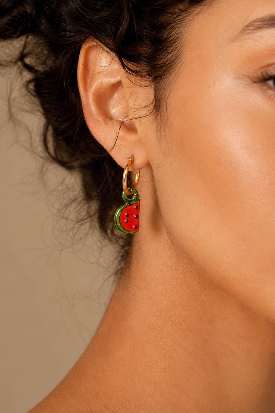 Stainless steel earrings 124RX365