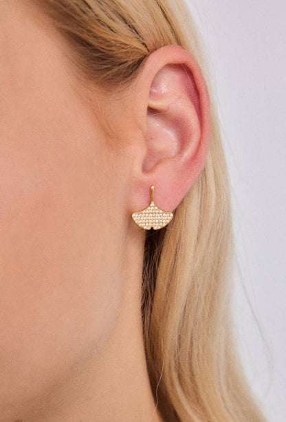 Stainless steel earrings 124RX206