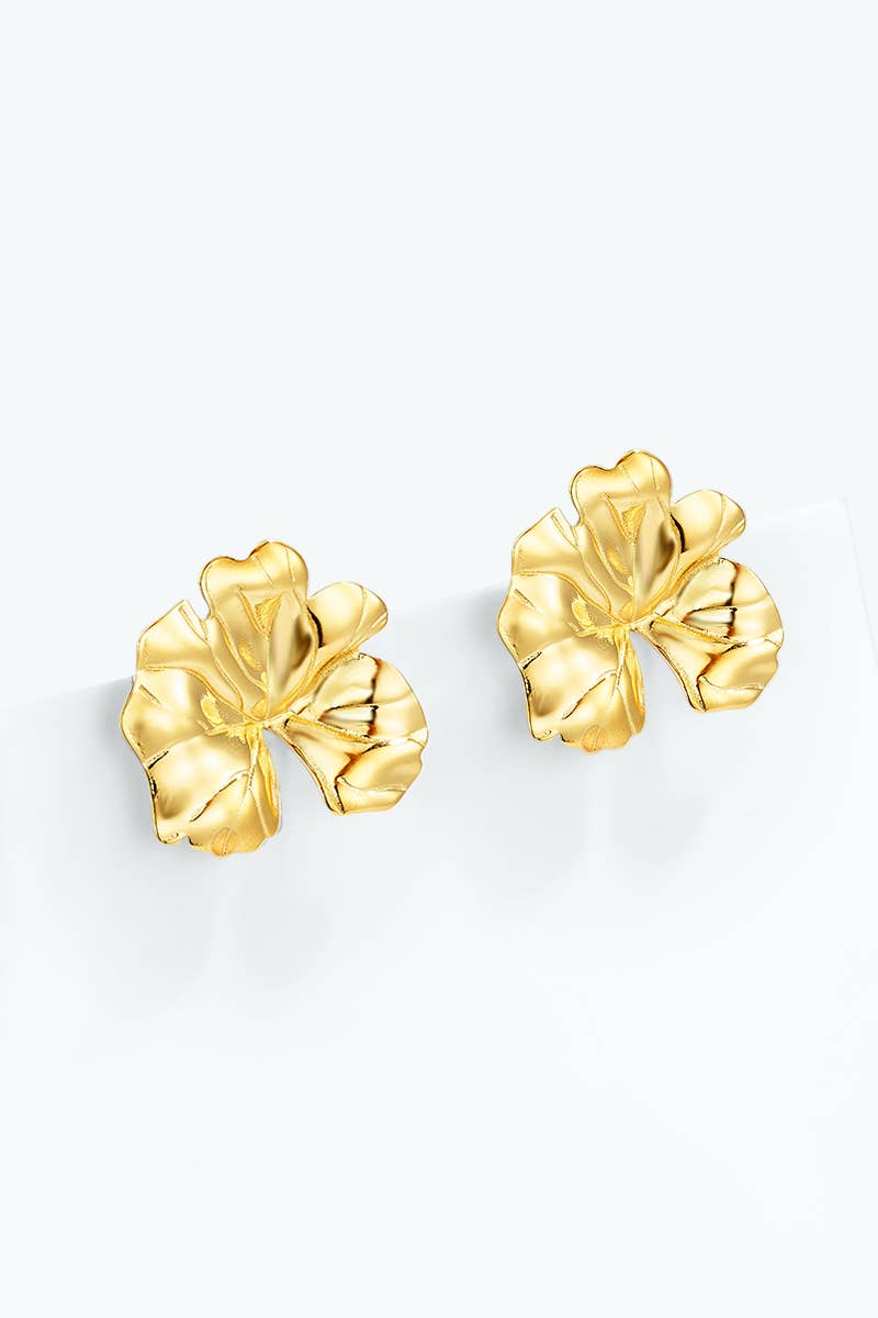 Stainless steel earrings 124AQ727