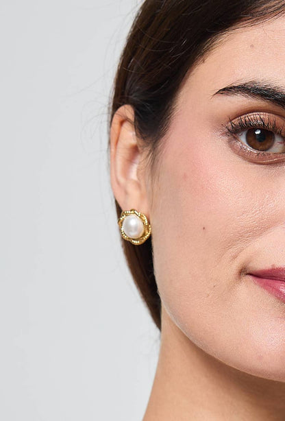 Stainless steel earrings 124AQ320
