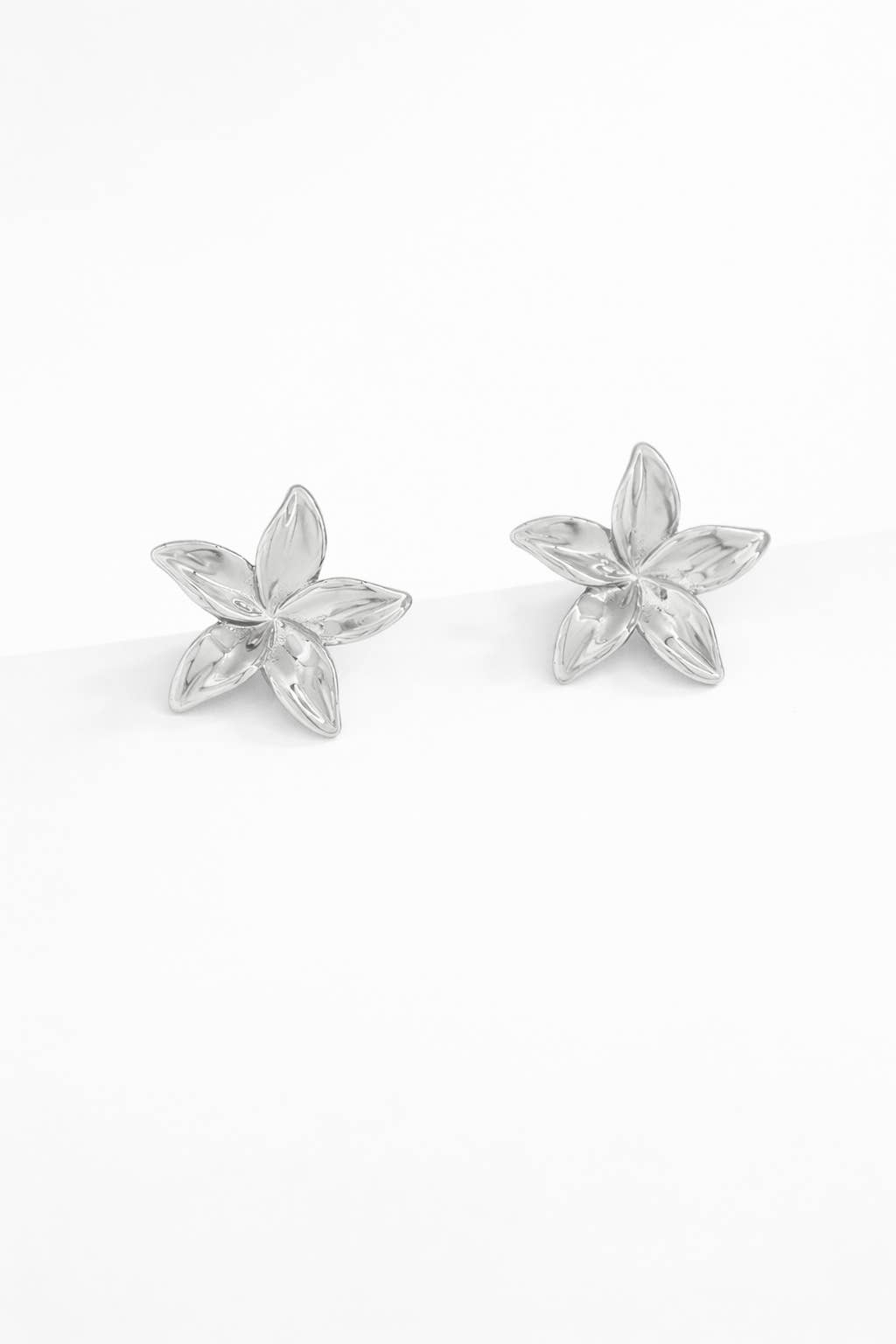 Boucles d'oreilles en acier inoxydable 124AQ270