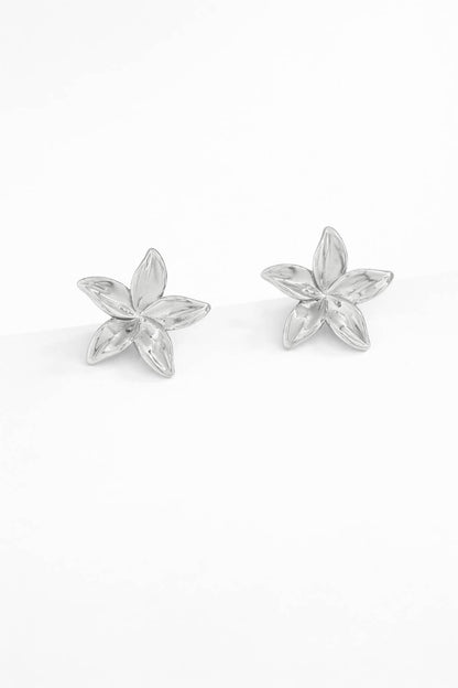 Boucles d'oreilles en acier inoxydable 124AQ270