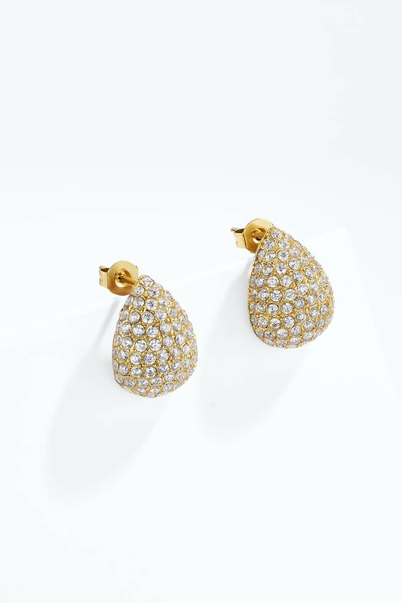 Stainless steel earrings 124AQ679