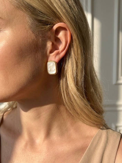 Stainless steel earrings 124AQ672