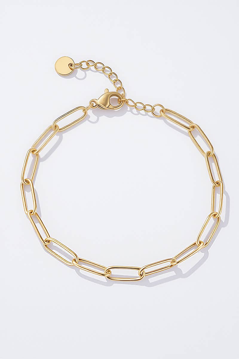 Stainless steel charm bracelet 324CA55
