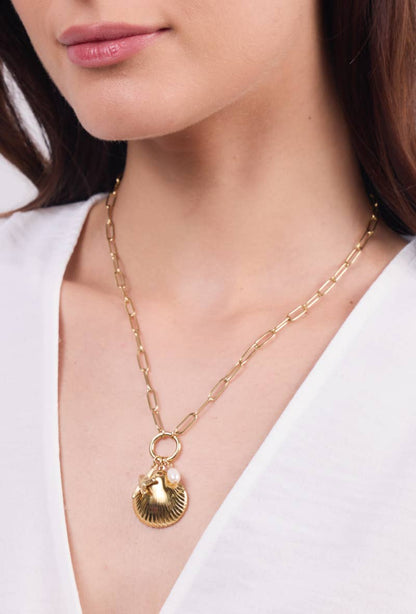 Collier en acier inoxydable 224AQ120