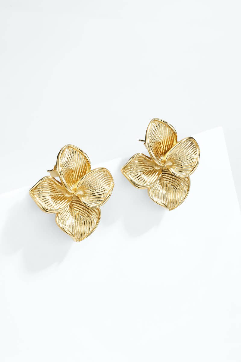 Stainless steel earrings 124AQ707