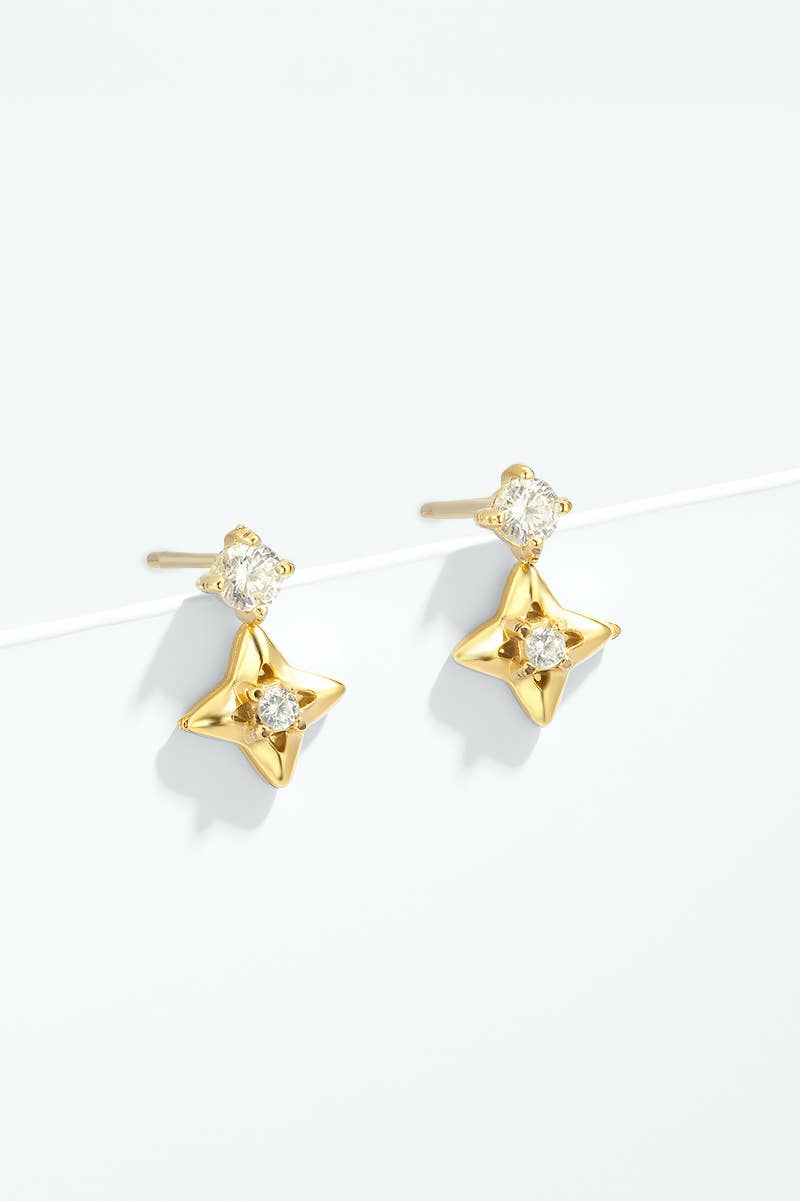 Boucles d'oreilles en acier inoxydable 124AQ618