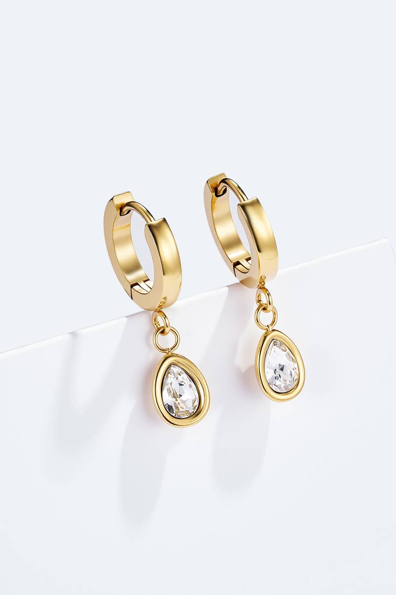 Stainless steel earrings 124AQ573