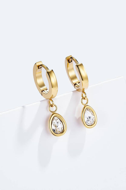 Stainless steel earrings 124AQ573