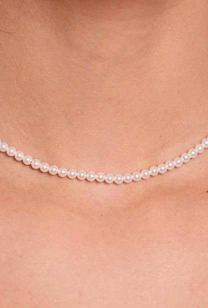Stainless steel necklace 224AQ132