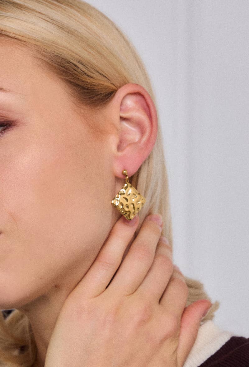 124RX198 stainless steel earrings