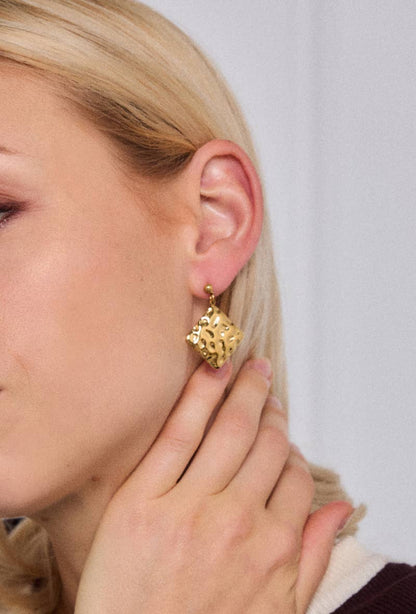 124RX198 stainless steel earrings