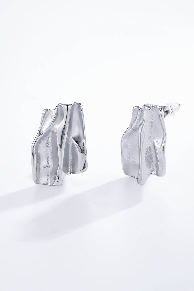 Stainless steel earrings 124DY31