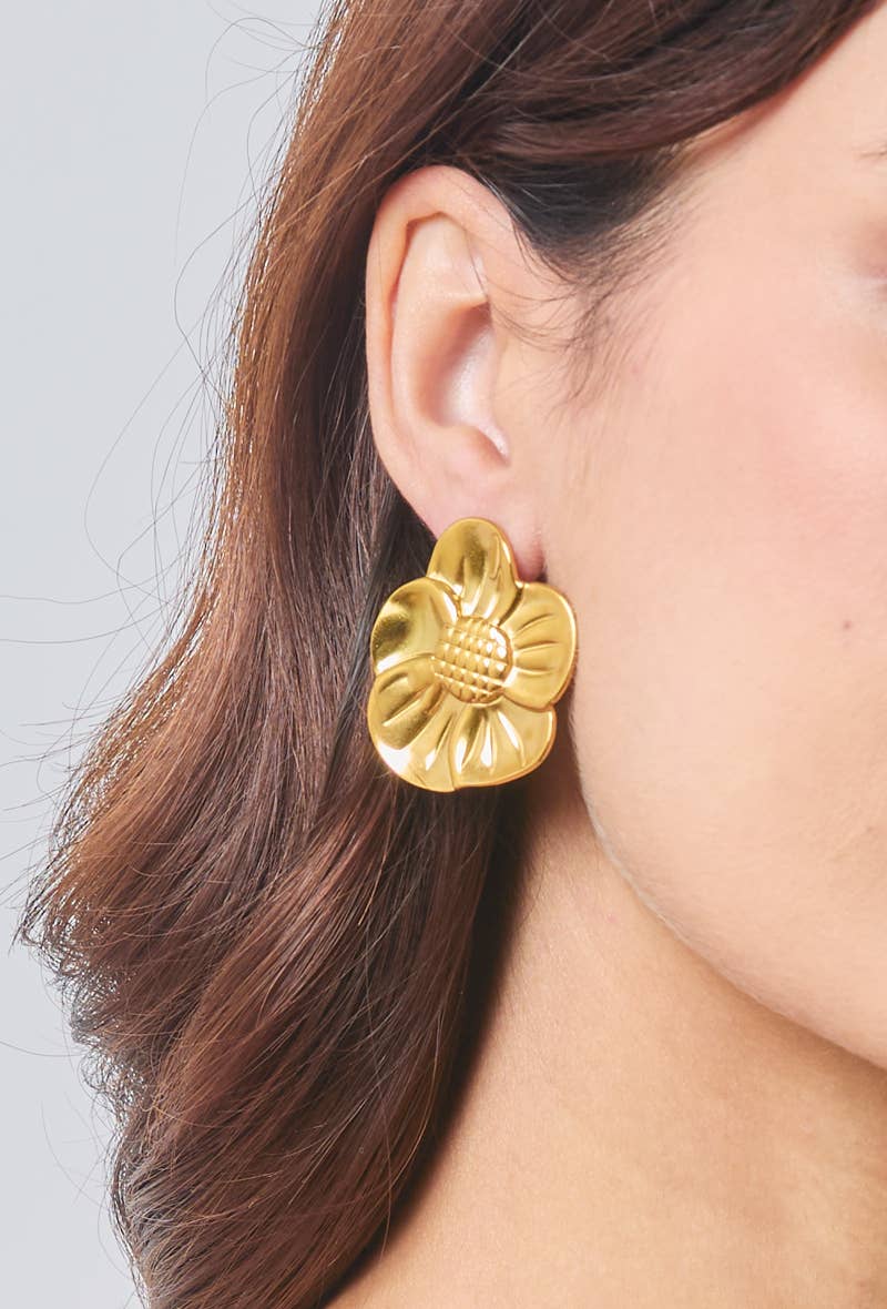 Boucles d'oreilles en acier inoxydable 124YC22