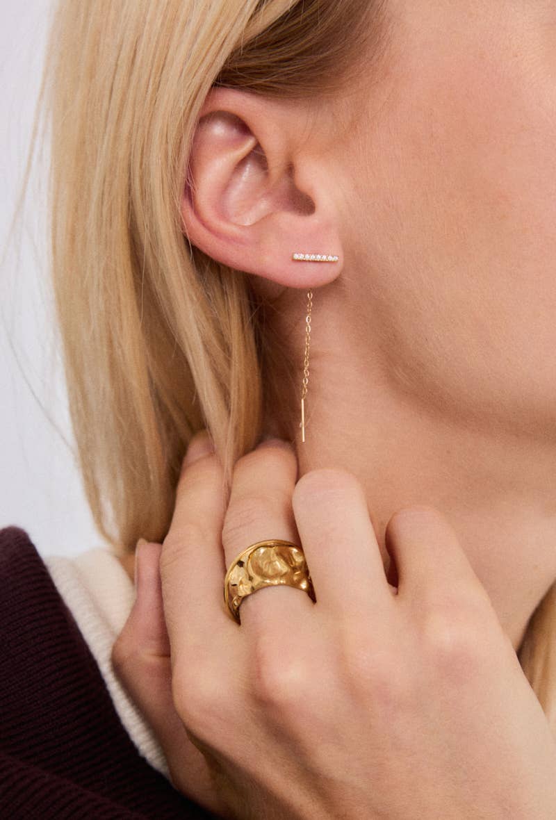 Stainless steel earrings 124RX208
