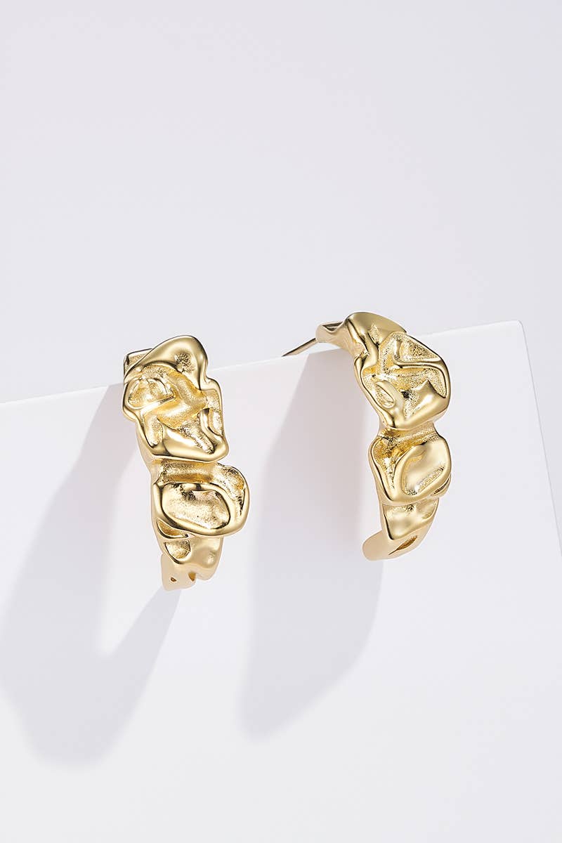 Boucles d'oreille en acier inoxydable 124RX280