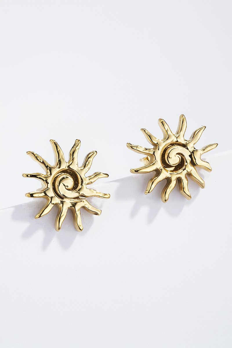 124RX154 stainless steel earrings