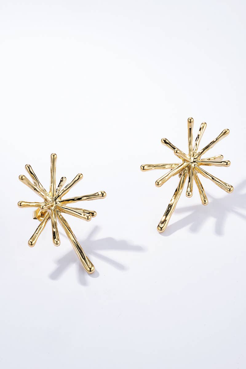 Boucles d'oreilles en acier inoxydable 124AQ294