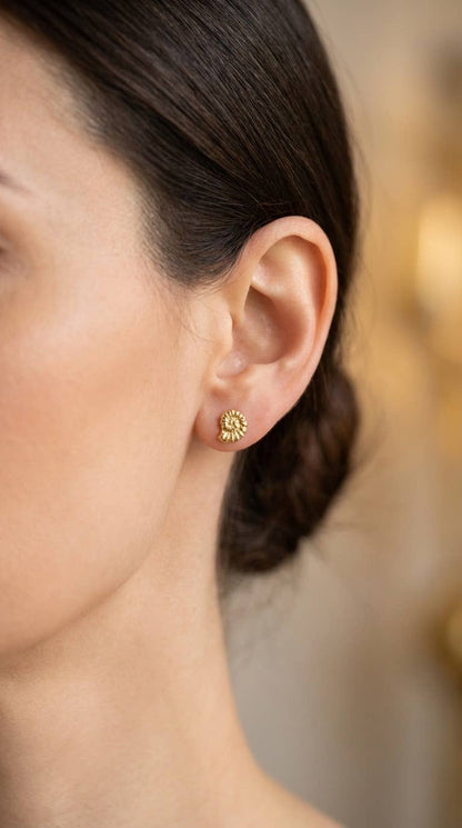 Boucles d'oreilles en acier inoxydable 124AQ538