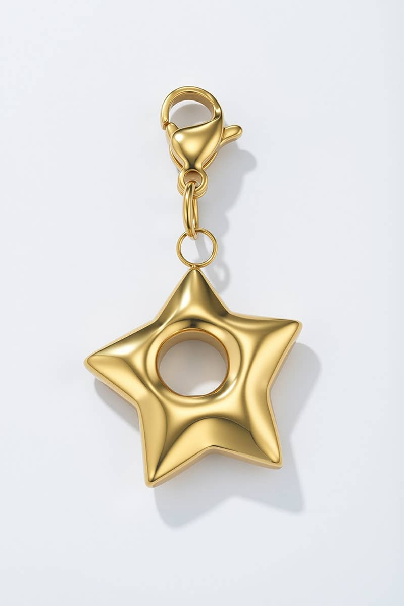 Charm breloque en acier inoxydable CHARM114