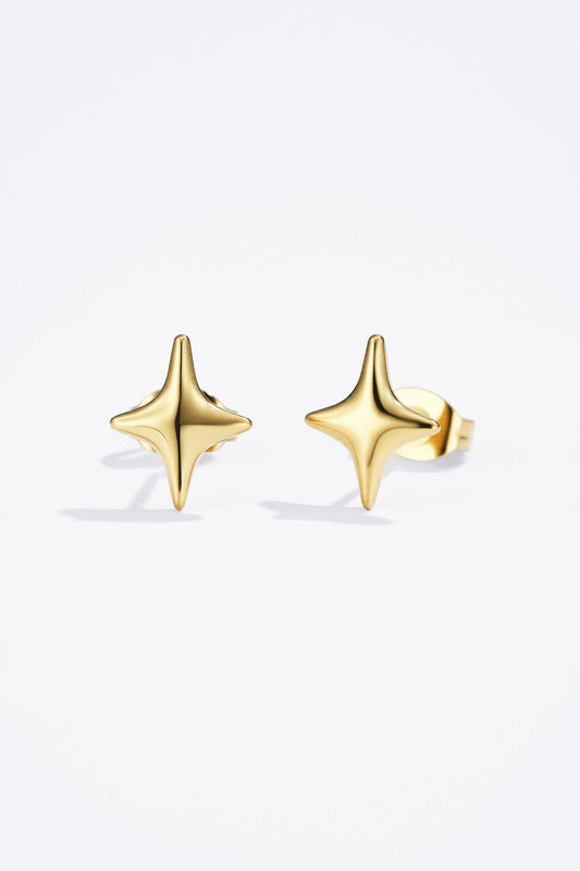 124RX151 stainless steel earrings